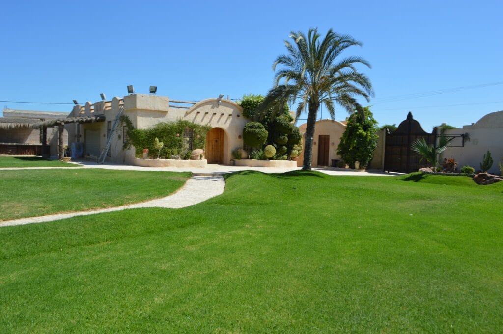 Espace Baya des Fêtes4