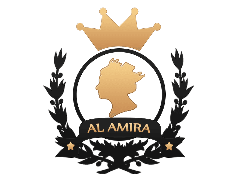 Salle Des Fetes Amira4