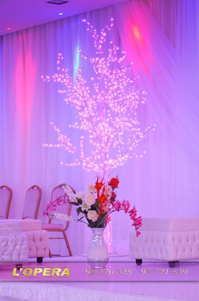 salle des fetes l’opera4